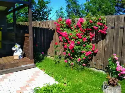 Дом с беседкой - 3