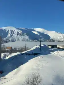 Квартиры на Олимпийской 38 - 52