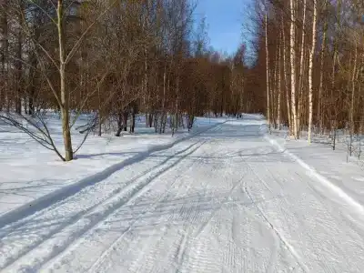 Дом Берендей - 34