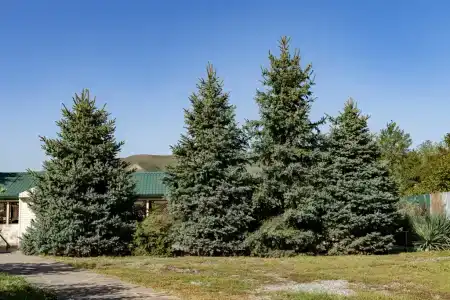 Загородный дом у озера Бекан - 22