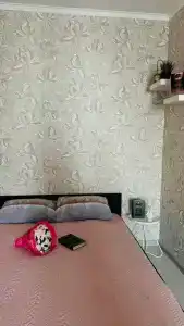Квартиры на Пушкинское 13к3 - 9