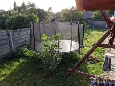 Васильки - 19