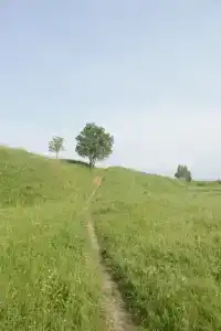 Шартруз Красное - сад, веранда и баня - 68