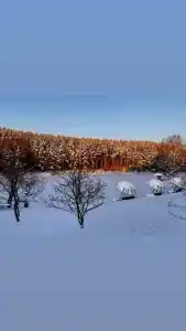 Капитан - 100