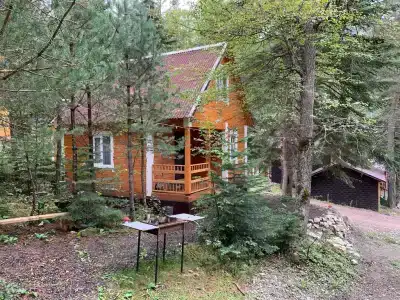 Мухоморье - 108
