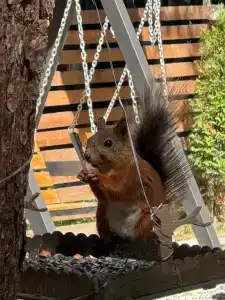 Терраса Домики в Архызе - 83