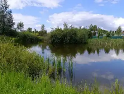 Дом для отдыха с русской баней - 35