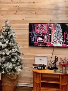 Дача Инн Лес - 16