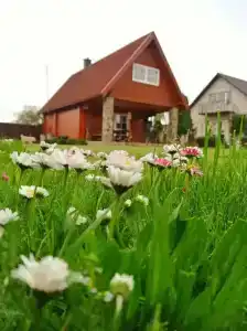 Светлазара - 12