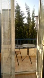 Синяя Птица - 23