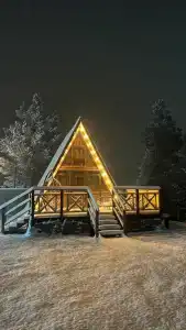 Pine Wood Elbrus - 3