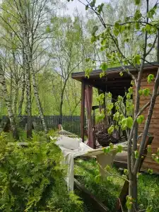 Красивый панорамный домик около леса в Ламоново - 24