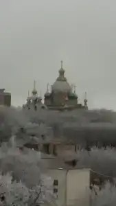 квартира - 31