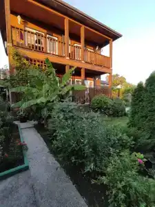 Софи - 0