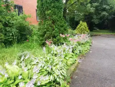 Уютный дом у Можайского моря - 20