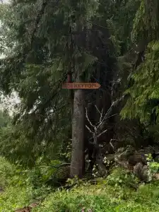 Йокихутор - 31