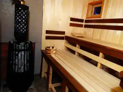 Домик в лесу с русской баней на дровах - 13