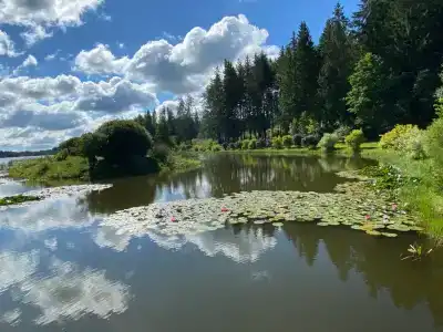 Эдельвейс - 11