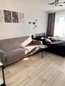 Квартиры на Ленинградской 144 - 63