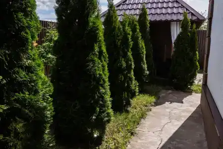 Жемчужный - 26