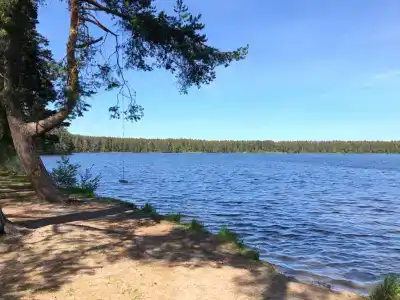 Снетковское Озеро - 105