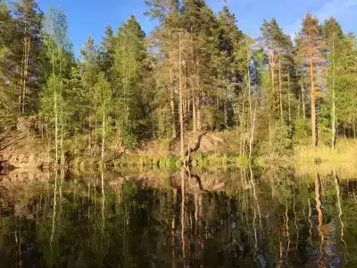 Усадьба у озера - 27