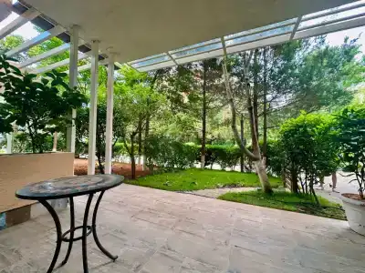 Dreamland Oasis - 78