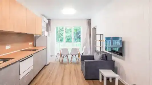 Шале 50 м² на участке 10 соток - 1