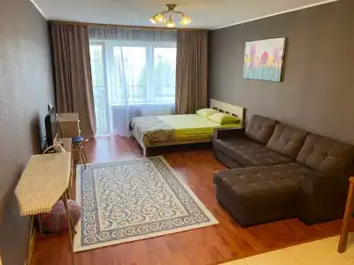 Apartment on Belinskogo 7V - 15