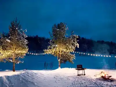 Устье Тулоксы - 27