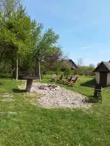 Лесной уголок - 8