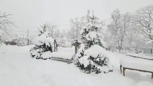 Уютный загородный дом с красивой мангал зоной - 2