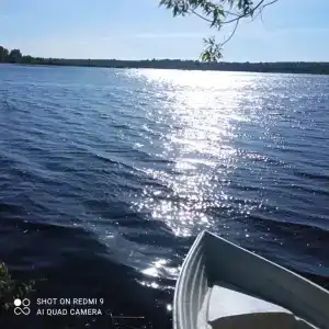 Дом с дровяной сауной у реки Волга - 13