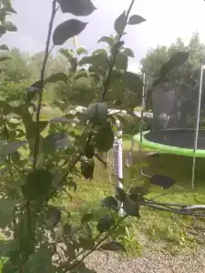 Тихий уголок - 165