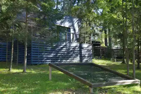 Гаванец - 2