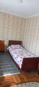 Бамбук - 8
