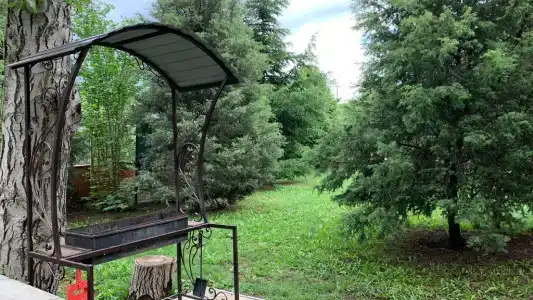 Можжевеловый дворик - 129
