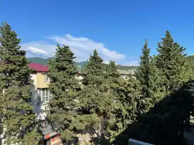 Квартиры на Галины Петровой 10 - 13