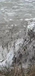 Царское село - 45