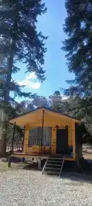 Дом на дереве - 0