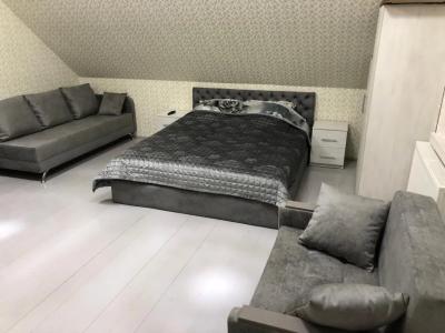 Дом с видом на Музей деревянного зодчества - 7