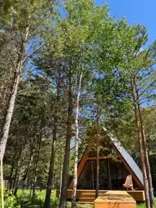 Отнурок - 3