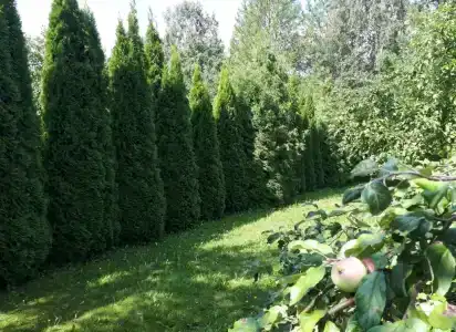 Поместье-Park на Стрелке - 50