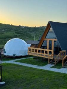 Аквариум - 56