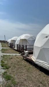 Аквариум - 139