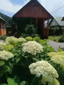 Счастливый случай - 1