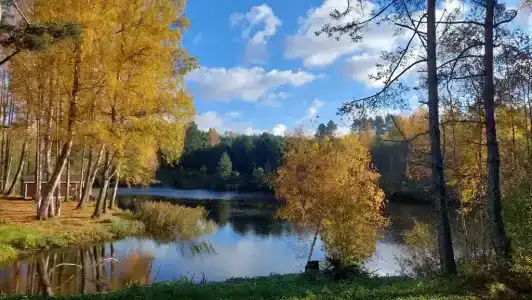 Колесо - 5