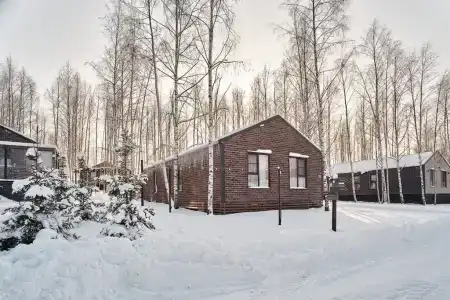 Алексей - 25