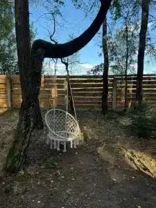 Forest City - 31