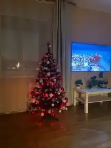 на Штеменко - 1